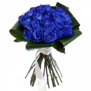 Deep Blue-0