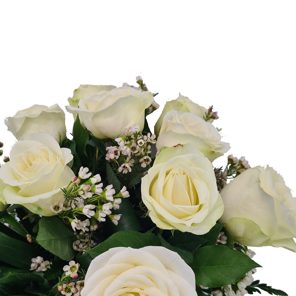 buchet 11 trandafiri albi (3)