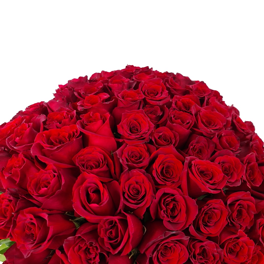 buchet 101 trandafiri rosii (5)
