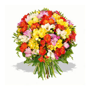 Buchet cu 101 frezii multicolore-0