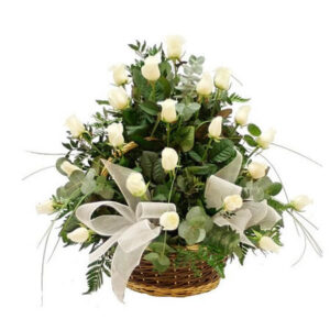 White Harmony-0