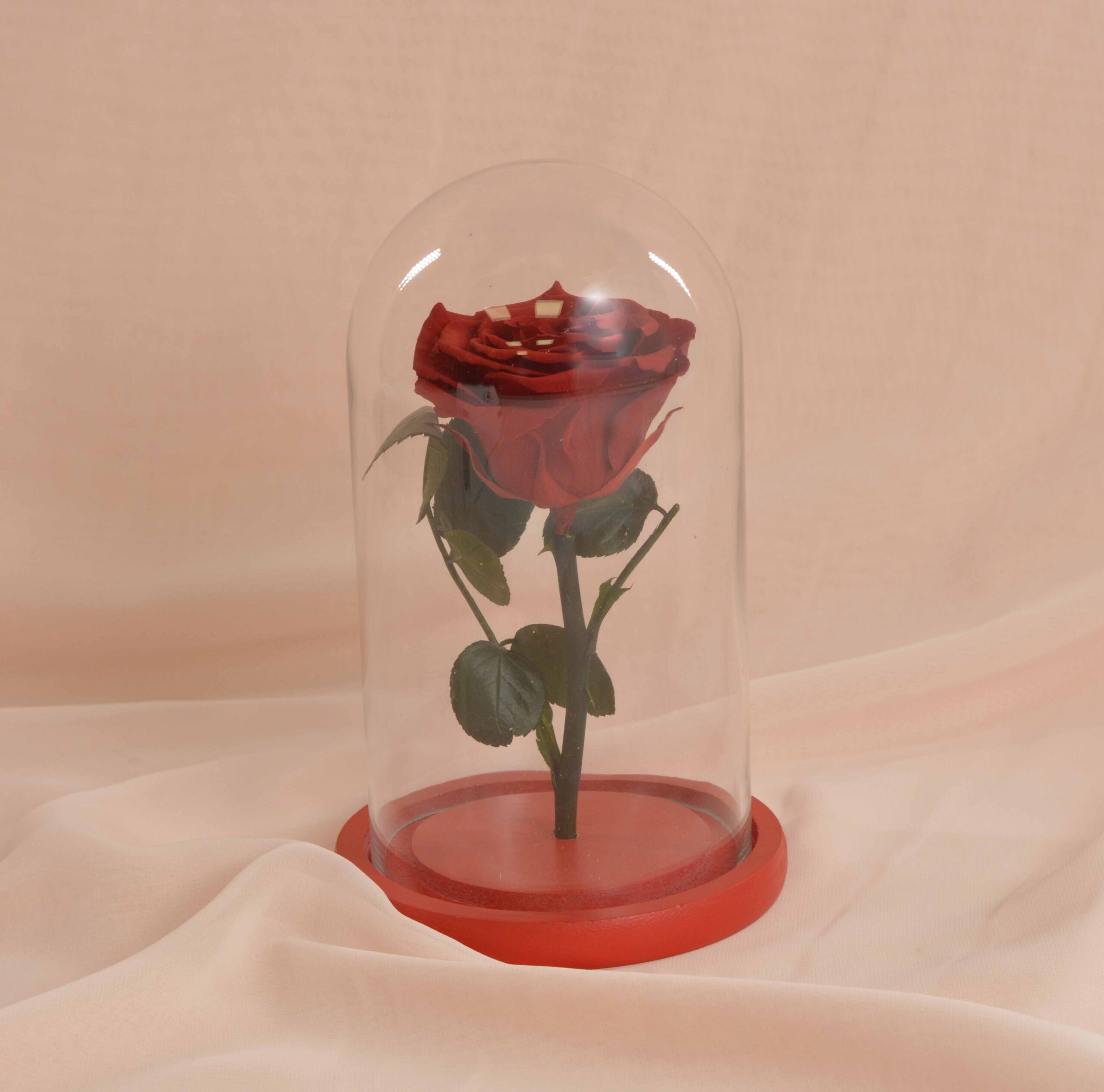 Trandafir criogenat rosu in cupola sticla-0