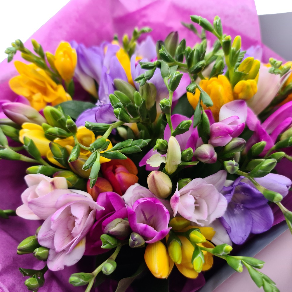 buchet 39 frezii multicolore