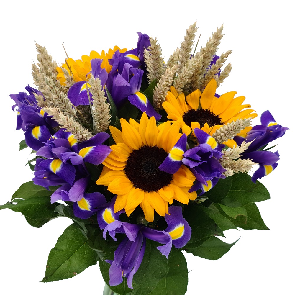Buchet iris, spice si floarea soarelui