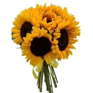 Buchet 7 floarea soarelui