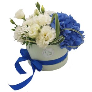 Cutie cu bouvardia si hortensie