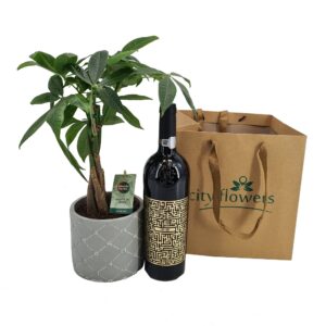 Cadou pentru EL, Money tree & vin alb Mysterium