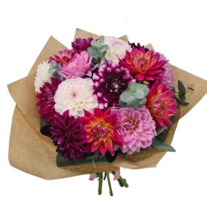 Buchet cu 15 Dahlia