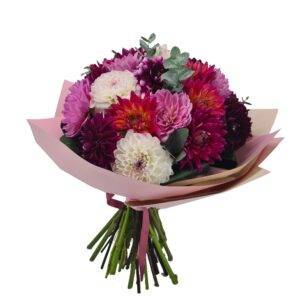 Buchet 25 Dahlia mix