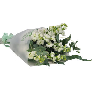 Buchet 7 mathiola alba